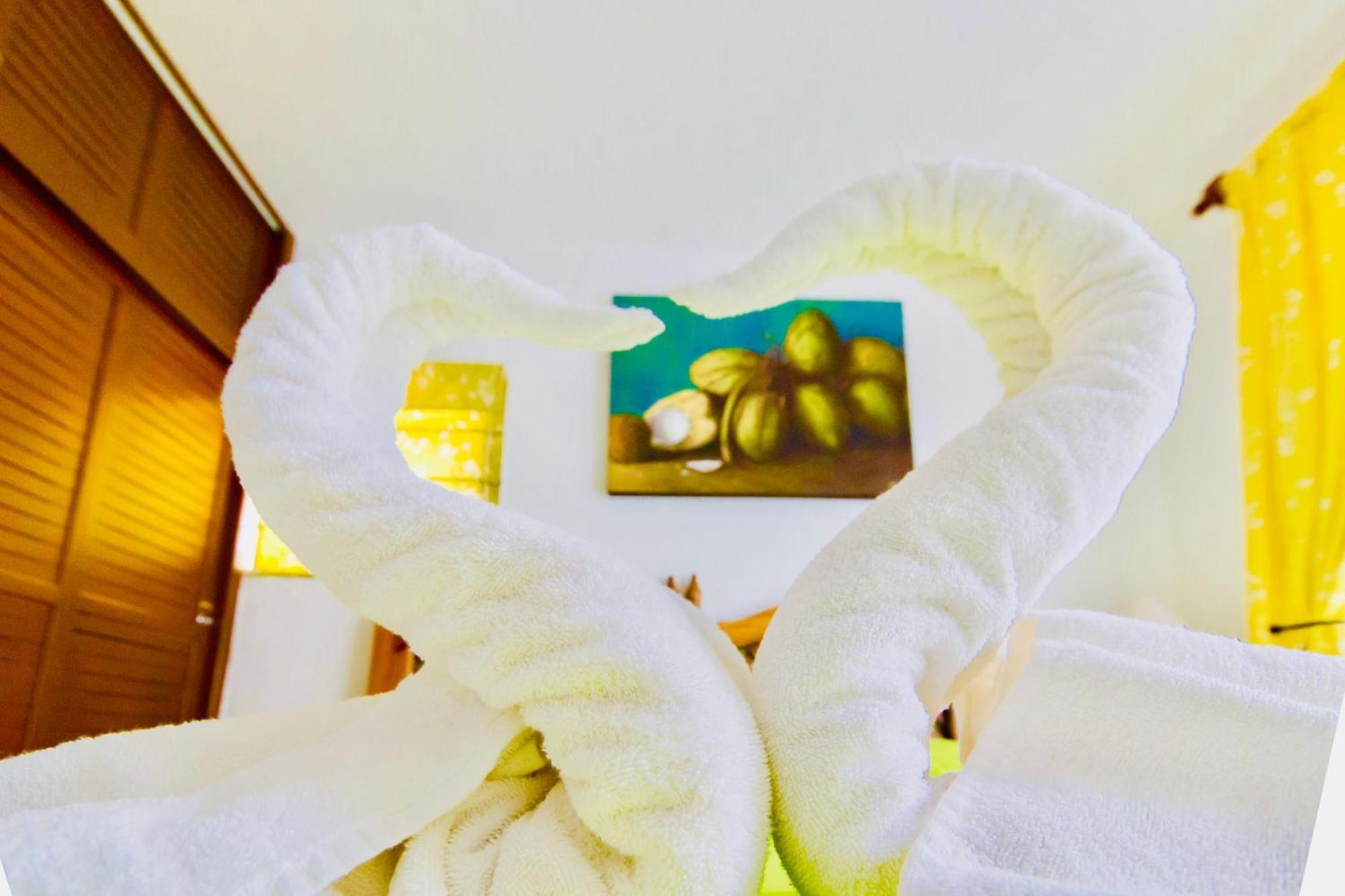 Superior Budget With Swimming Pool Air Conditioning And Parking Playa del Carmen